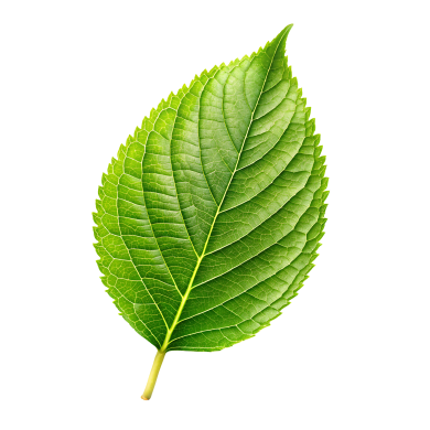 Green Energy